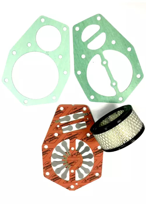 Head Rebuild Kit for Speedaire One Headed Old Style Pumps 3Z492, 3Z492A