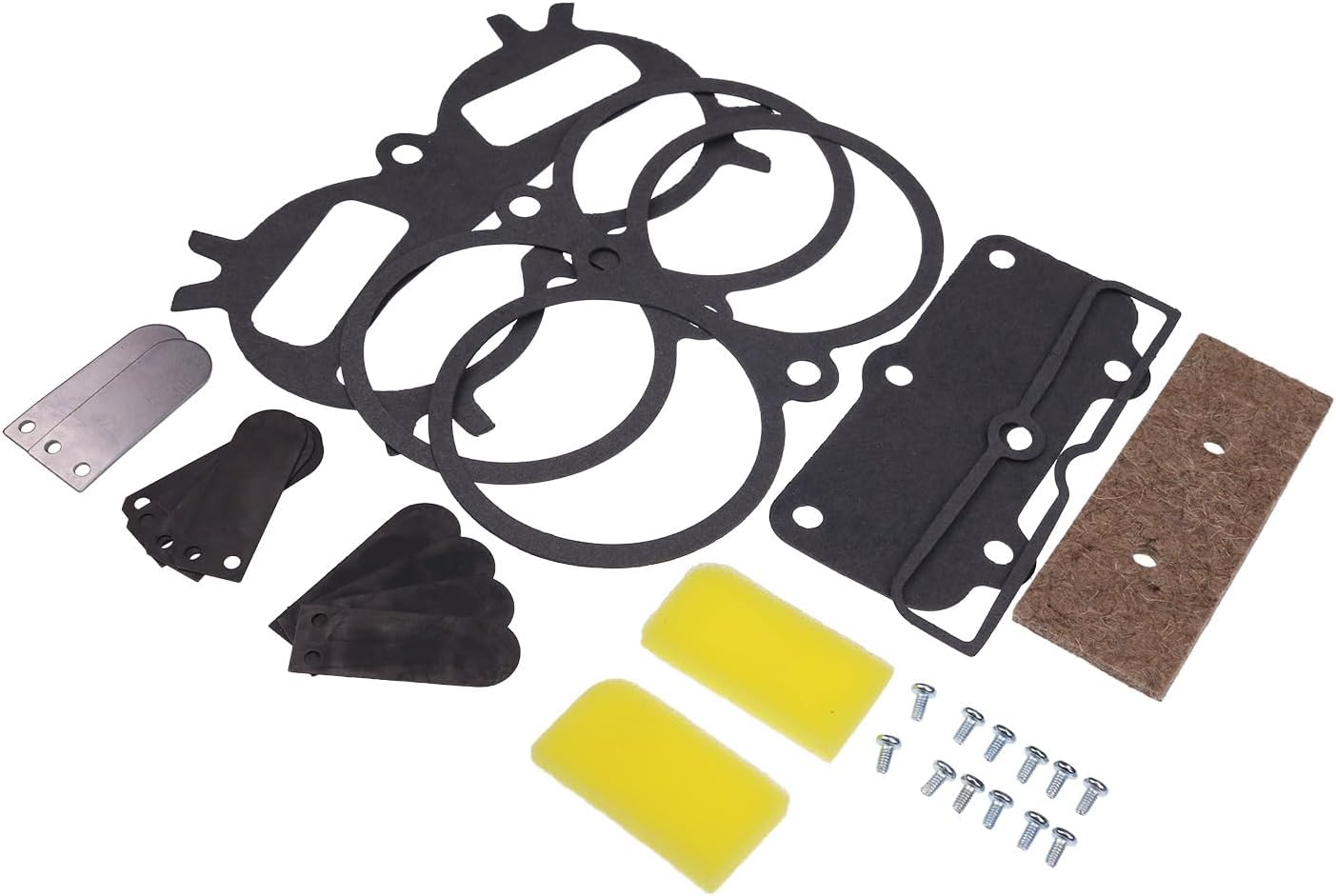 Head rebuild kit for campbell hausfeld