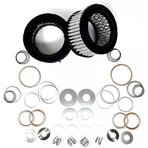 head rebuild kit for champion