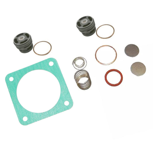head rebuild kit with valves for quincy