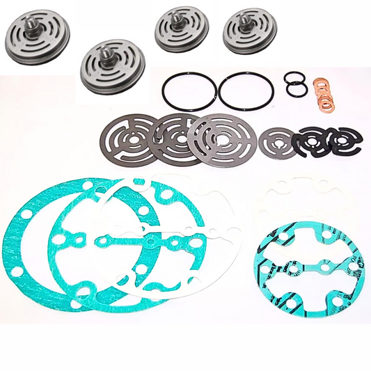 rebuild kit with valves for leroi
