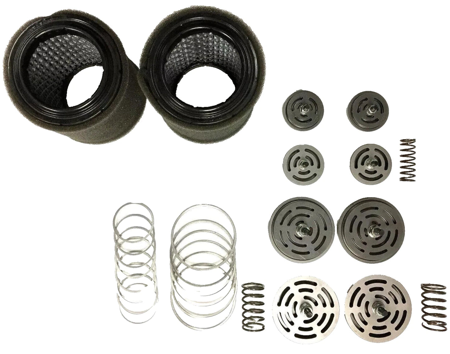 Head Rebuild Kit with Valves for Champion Model R70, R70A