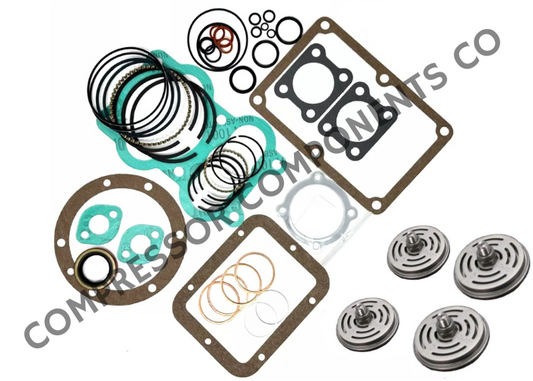 valve set tune up kit for leroi