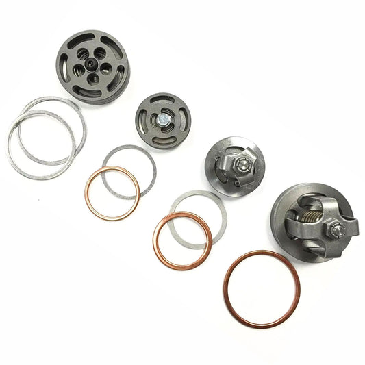 valve set for champion